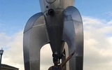 80